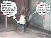 Does Anyones Yorkie Live Outside?-img_0772.jpg