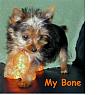 I have another question about...-dylan-bone.jpg