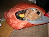 Why not...-sleeping-bag.jpg