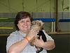 Frogknot attended today's yorkie play group! PICS-starsky-pup-088.jpg