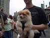 Old Navy Dog Casting!-oldnavycasting-048.jpg