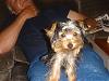 Who's Furbaby Came from a Petstore?-dsc00023.jpg