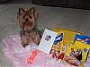 Thank you Yumi & Daisy (Yorkshirecrazy)!-yumi2.jpg