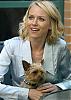 Celebs with their Yorkies!-1239649.jpg