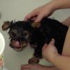 Embarrassing bath photos-pdrm1866-cropped.jpg