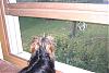 Bunny Watch-bunnywatch-003-600-x-401-.jpg