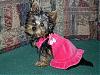 Paris modeling her new Lola dress!!-karas-pictures1-157.jpg