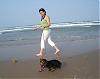 Top Ten Yorkie Friendly Beaches-dsc01933.jpg