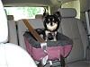 Store Bought Car Seat Alternative???-maddie-car-6-22-06.jpg