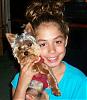 Any cute yorkie boys out there...-g-.jpg