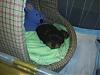 Let's see those sleepy pictures-s4010082.jpg