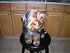 THANK YOU JCARLSON, browniesmom622, vainchick5, ytsirk27 and everyone that noticed-yorkie1.jpg