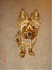 Who has the biggest yorkie?-picture-012.jpg