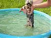 Lets see the wet yorkie pictures-bailynn-bday2006-034.jpg