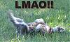 Pooping in Color-roflmao.jpeg