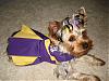 Thank you chloedj for the Lakers cheerleader dress...photos!-lakergirl-1.jpg