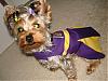 Thank you chloedj for the Lakers cheerleader dress...photos!-lakergirl-2.jpg