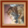 big dogs and yorkies.............-tucker-rusty-015-1.jpg