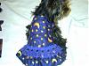 Pictures!!!-izzy-all-stars-dress-back-view.jpg
