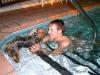 Yorkies in the pool-elisullypool.jpg