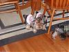 Peanut Gallery Wrestlemania...-p9121030.jpg