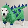 Halloween costume question-dinosaur-costume.jpg