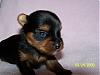 I need 5 puppy names!!!!-904.jpg