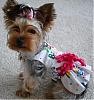 Thank you Connie, for the birthday dress: photos!!-zoe-birthday-4.jpg