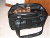 purses/carrier sizes-hpim1354.jpg