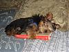 Sleeping Beauty-marley-me-small.jpg