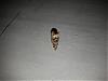 Atlantoaxial instability/lost my baby, here so others maybe saved!-dscn0034-small-.jpg