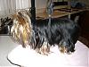 Grooming problems solved-grooming-table-005-600-x-450-.jpg