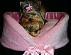 Hair Bows for Your Tiny-hairbows-019a.jpg