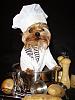 YorkieTalk Halloween 2006 Contest - SUBMIT ENTRIES!-scanimage006sm.jpg