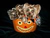 YorkieTalk Halloween 2006 Contest Announcement!-haphol.jpg