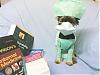YorkieTalk Halloween 2006 Contest - SUBMIT ENTRIES!-surgeon-aarya.jpg
