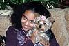 Little Lucinda: Nine Month Old Morkie-3.jpg