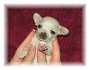 Tia's vaccine update-baby-tia-3-weeks-old.jpg