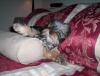 Just for fun: Who's yorkie is the cutuest?-100_4309.jpg