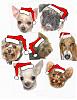 Christmas Pups-card.jpg