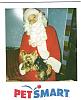 Santa, or Alien from Mars-taylor-pet-smart.jpg