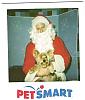 Santa, or Alien from Mars-taylor-pet-smart1-001.jpg