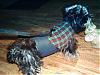 Yorkie sporting belly bands and vests!-redplaid1.jpg