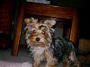See how I've grown!!-colins-pictures-005.jpg