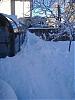 looky at all the snow!-blizzard-3.jpg