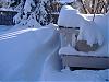 looky at all the snow!-blizzard-4.jpg