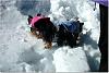 Post your Yorkie in the Snow Pictures Here!-snow5_edited.jpg