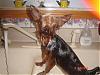 "bath Time" Pictures??!!-whered-everyone-go2.jpg