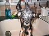 "bath Time" Pictures??!!-2.jpg