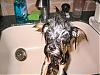 "bath Time" Pictures??!!-4.jpg